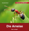 Buch-Cover