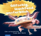 Buch-Cover