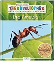 Buch-Cover