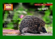 Buchabbildung