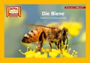 Buchabbildung