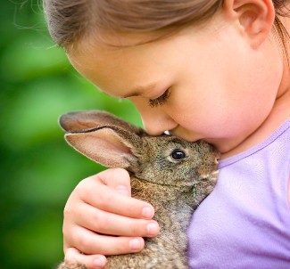 Ein Kind mit einem Kaninchen.
