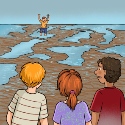 Buch-Cover