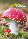 Buchabbildung