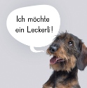 Buchabbildung