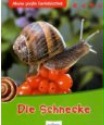 Buch-Cover