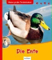 Buch-Cover