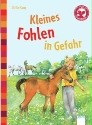 Buch-Cover