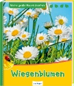 Buch-Cover