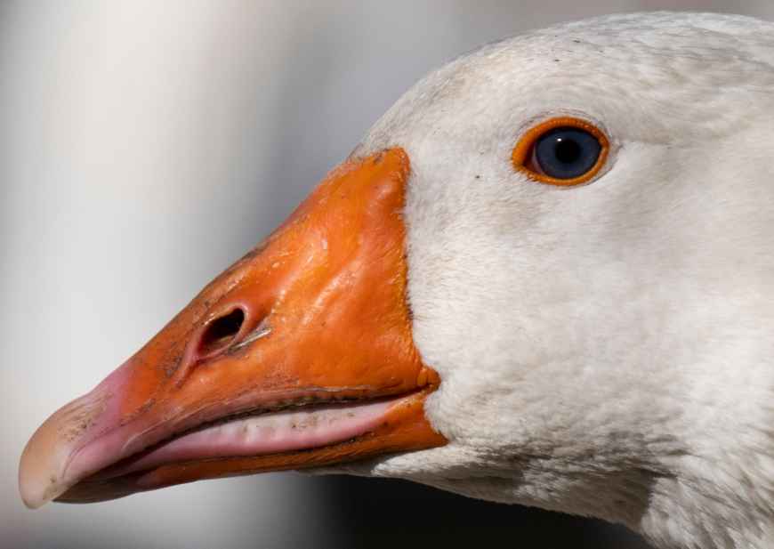 Bild zur DPA-Meldung